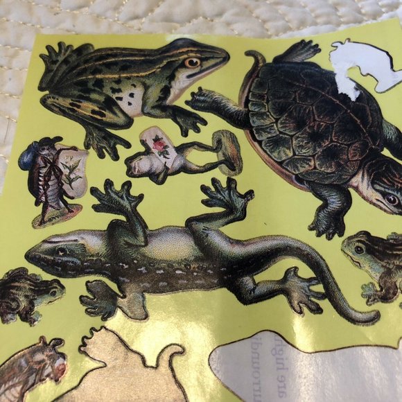 FROGS TURTLES AND MORE THE GIFTED LINE STICKERS LIZARDS AMPHIBIANS PETS Partial - Picture 5 of 12